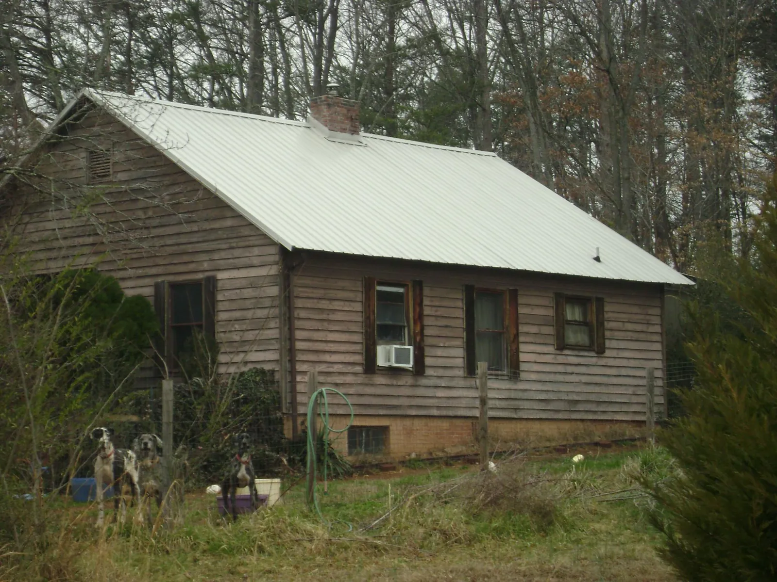 White metal roof on an old wood sided farmhouse, from a Asphalt Shingle Roof Repair job in Jelm